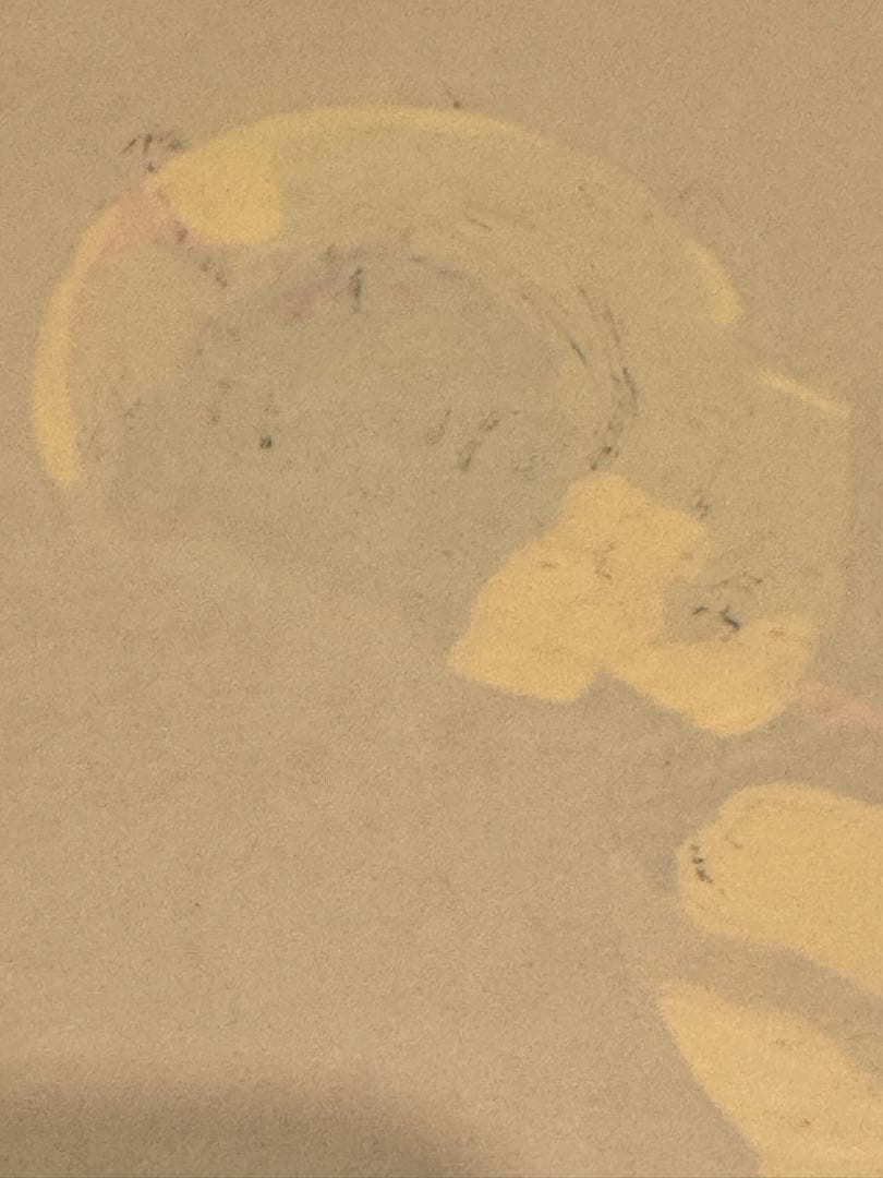 機動戦士ガンダム　セル画　アムロレイ