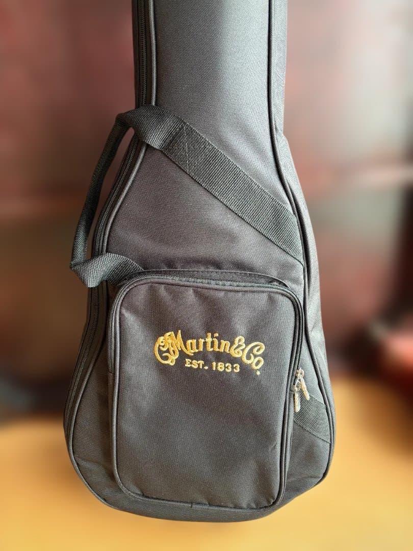 アコギギター　リトルマ－チン　ミニ　LX1R