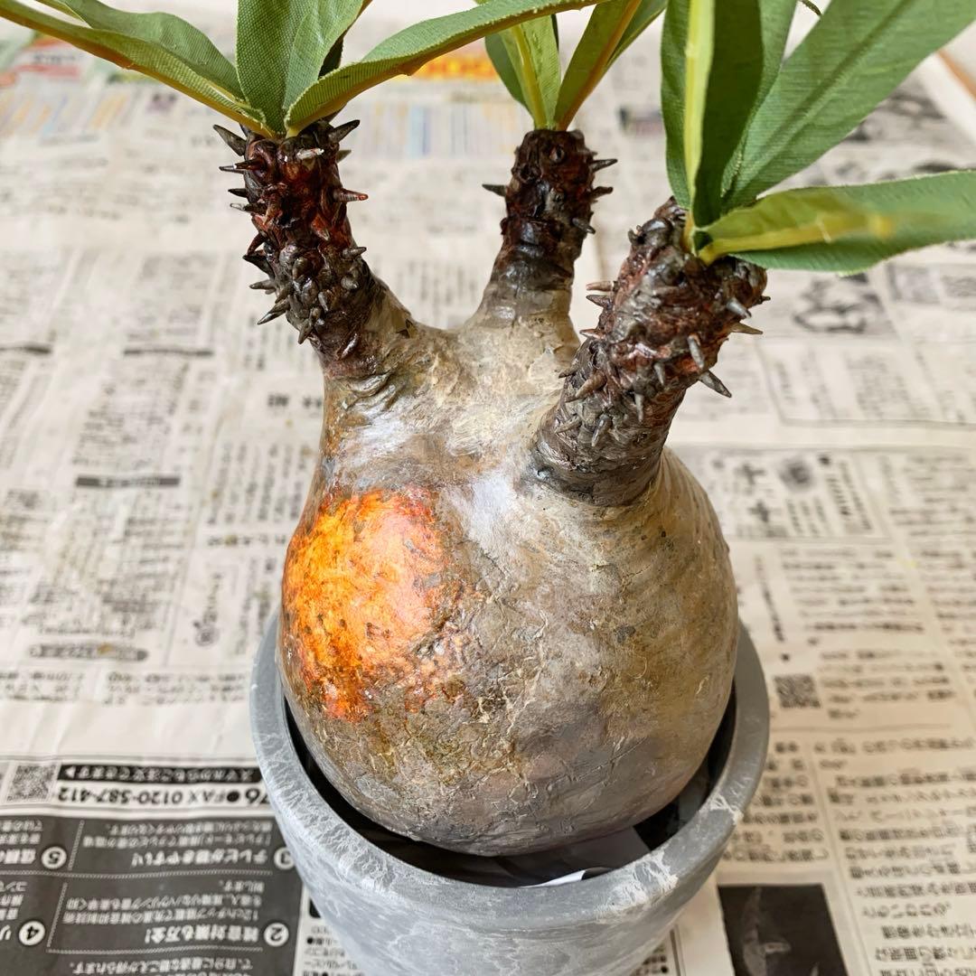 パキポディウム　グラキリス ⭐︎ご注意　こちらハンドメイド作品です。