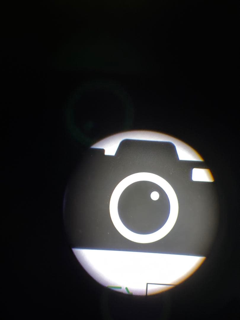 s*e様 Panasonic LEICA DG VARIO-ELMAR 100-