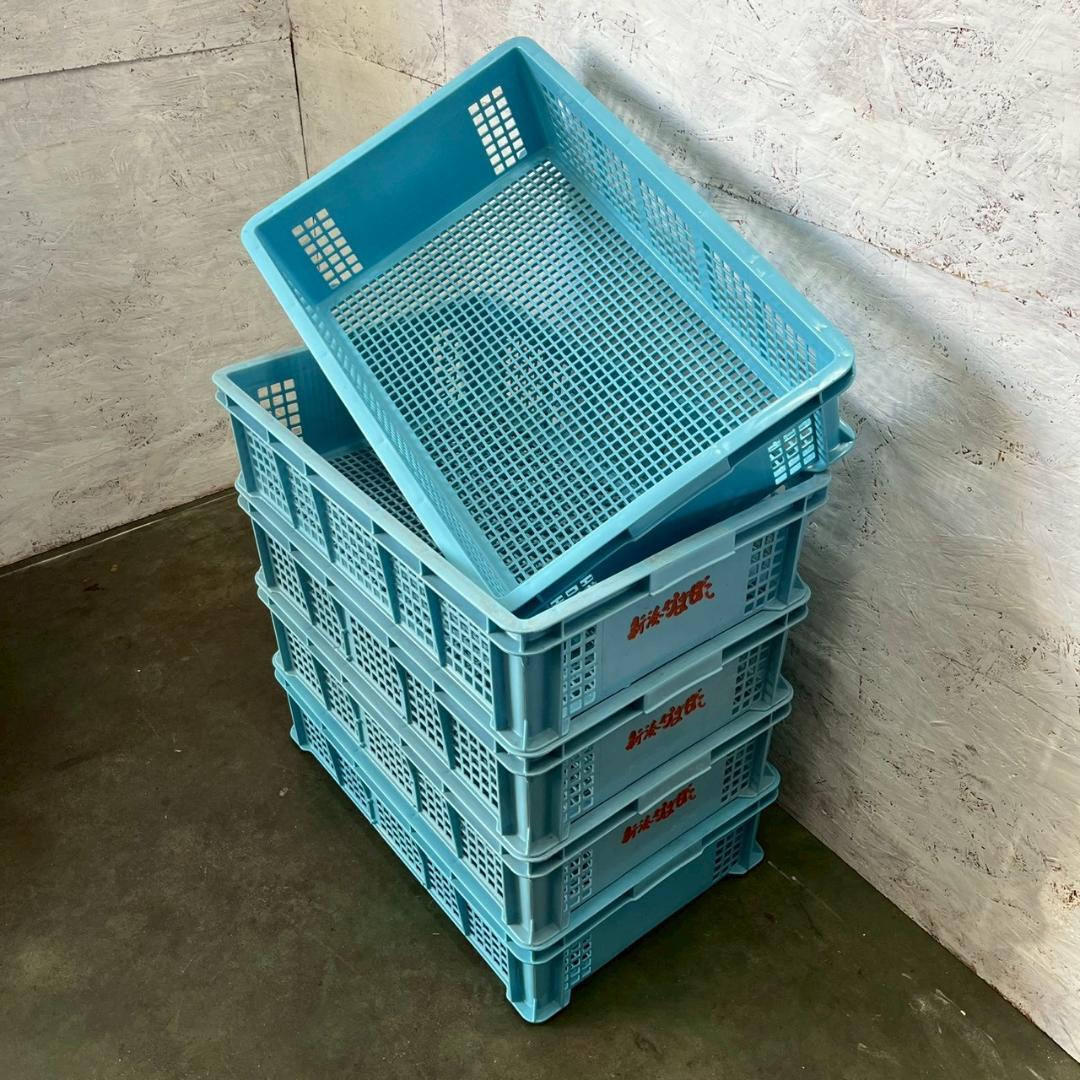 【サンコー】 三甲 サンテナー B#48 5個 セット まとめ ② A0854