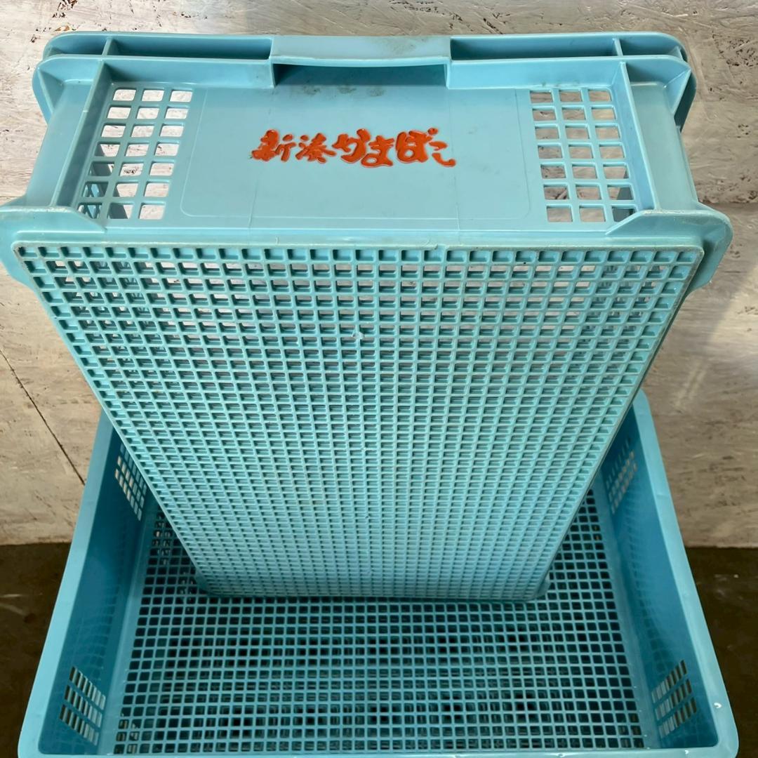 【サンコー】 三甲 サンテナー B#48 5個 セット まとめ ② A0854