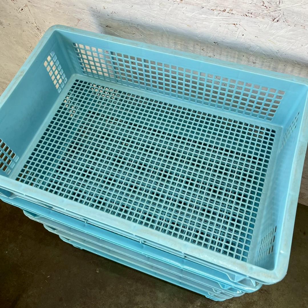 【サンコー】 三甲 サンテナー B#48 5個 セット まとめ ② A0854