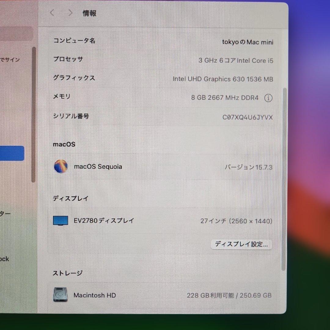 MacBook本体 Mac mini 256GB 8GB 2018 A1993 i5