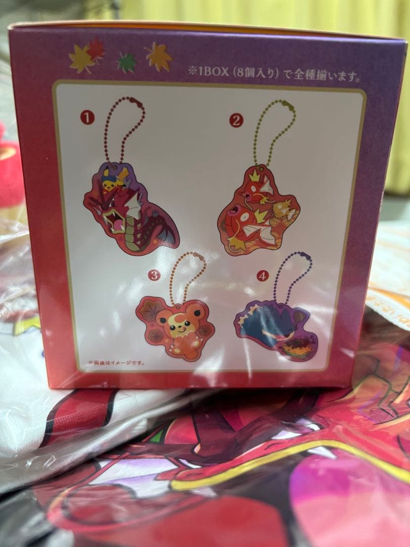 ポケモンセンター ヒロシマ アクリルチャーム BOX