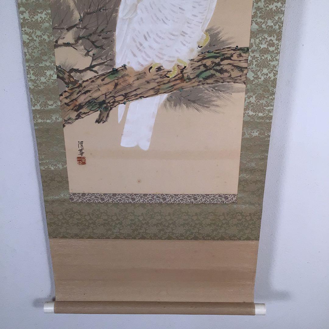No4041 掛軸　寺田隆華　白鷹図　着色絹本　紙箱付　花鳥画　古美術　送料無料