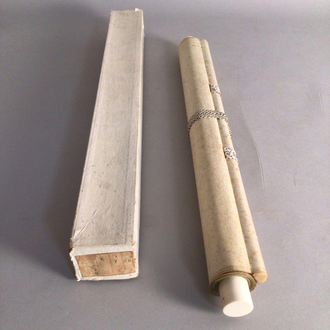 No4041 掛軸　寺田隆華　白鷹図　着色絹本　紙箱付　花鳥画　古美術　送料無料