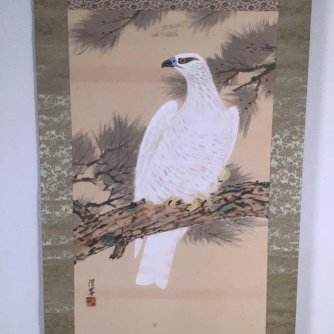 No4041 掛軸　寺田隆華　白鷹図　着色絹本　紙箱付　花鳥画　古美術　送料無料