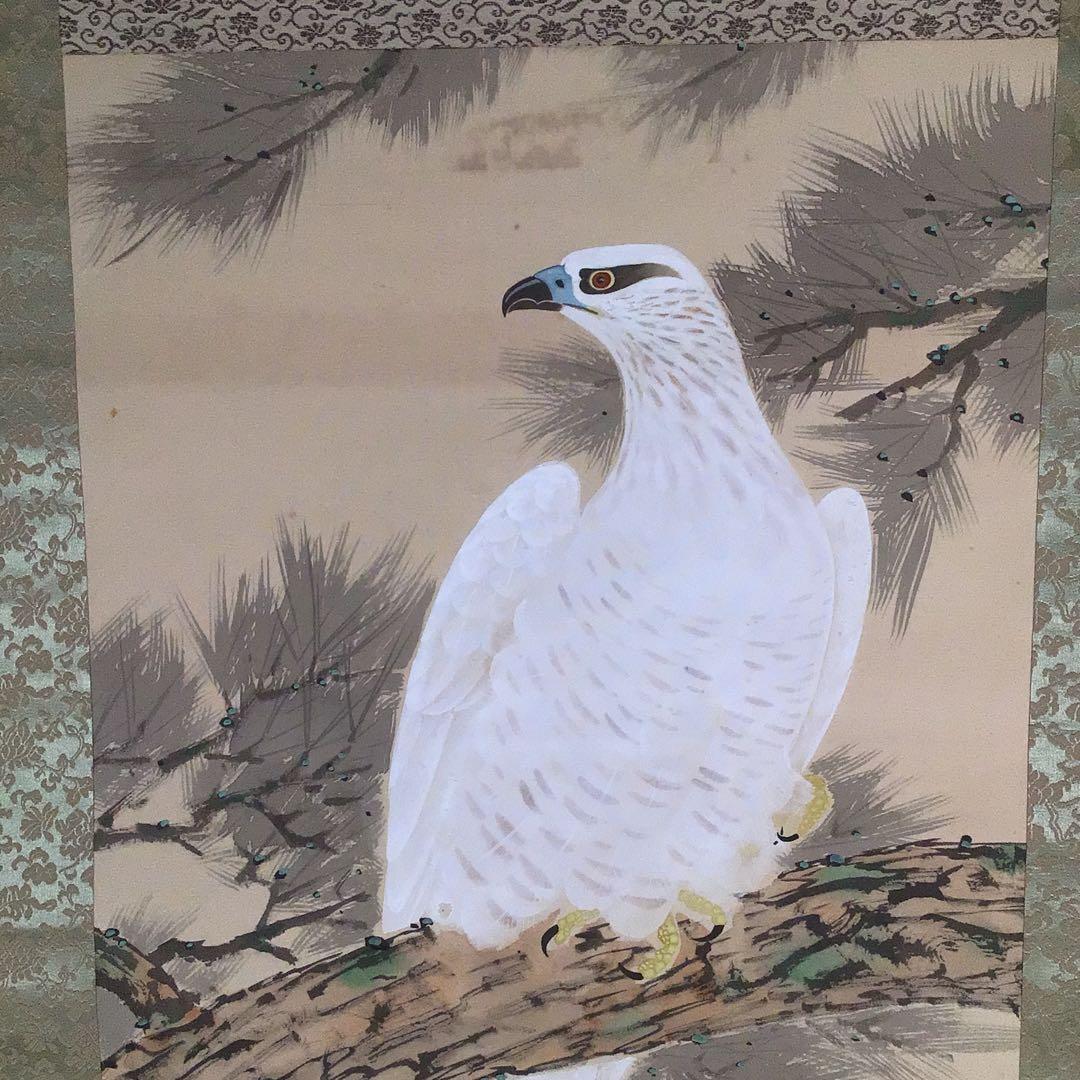 No4041 掛軸　寺田隆華　白鷹図　着色絹本　紙箱付　花鳥画　古美術　送料無料