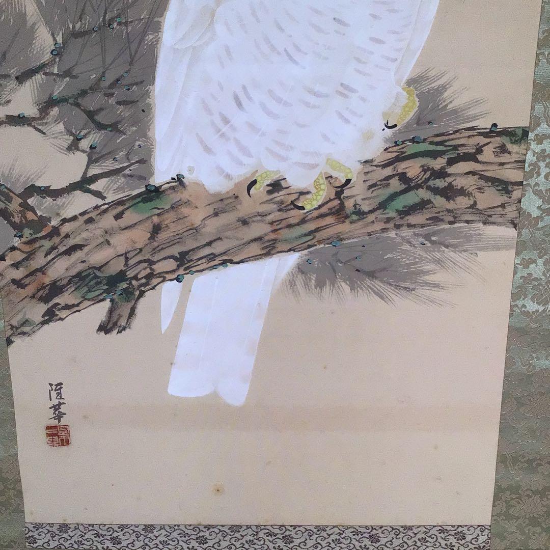 No4041 掛軸　寺田隆華　白鷹図　着色絹本　紙箱付　花鳥画　古美術　送料無料