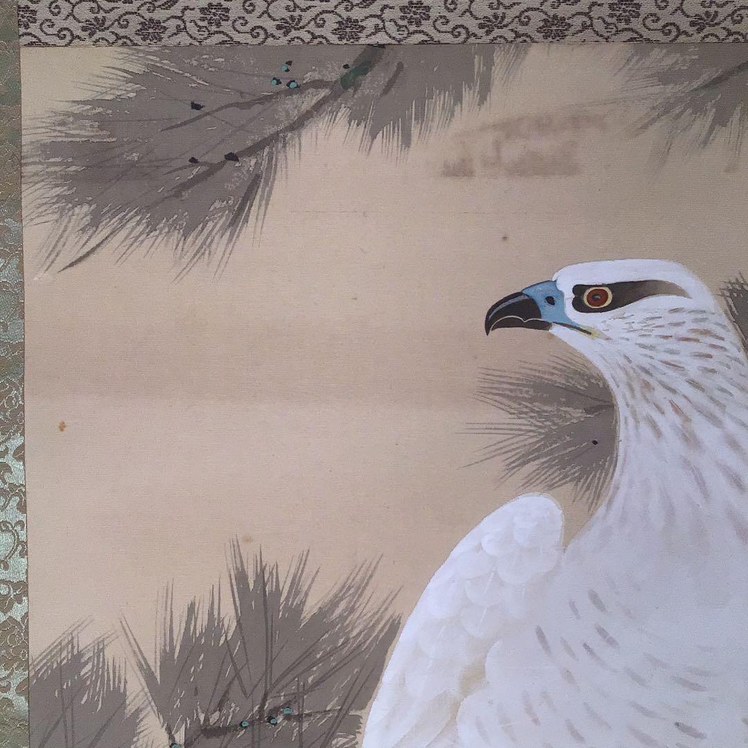 No4041 掛軸　寺田隆華　白鷹図　着色絹本　紙箱付　花鳥画　古美術　送料無料