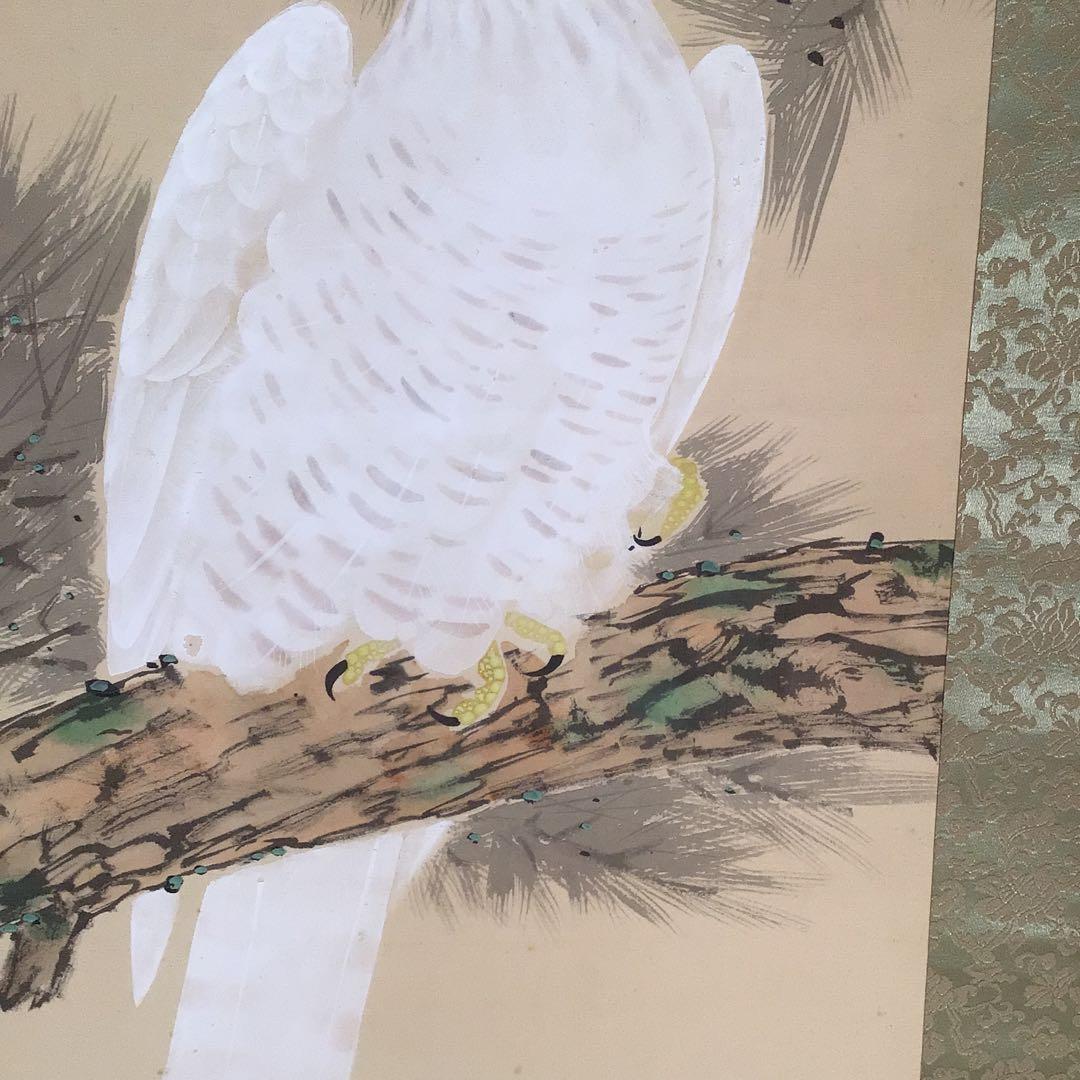 No4041 掛軸　寺田隆華　白鷹図　着色絹本　紙箱付　花鳥画　古美術　送料無料