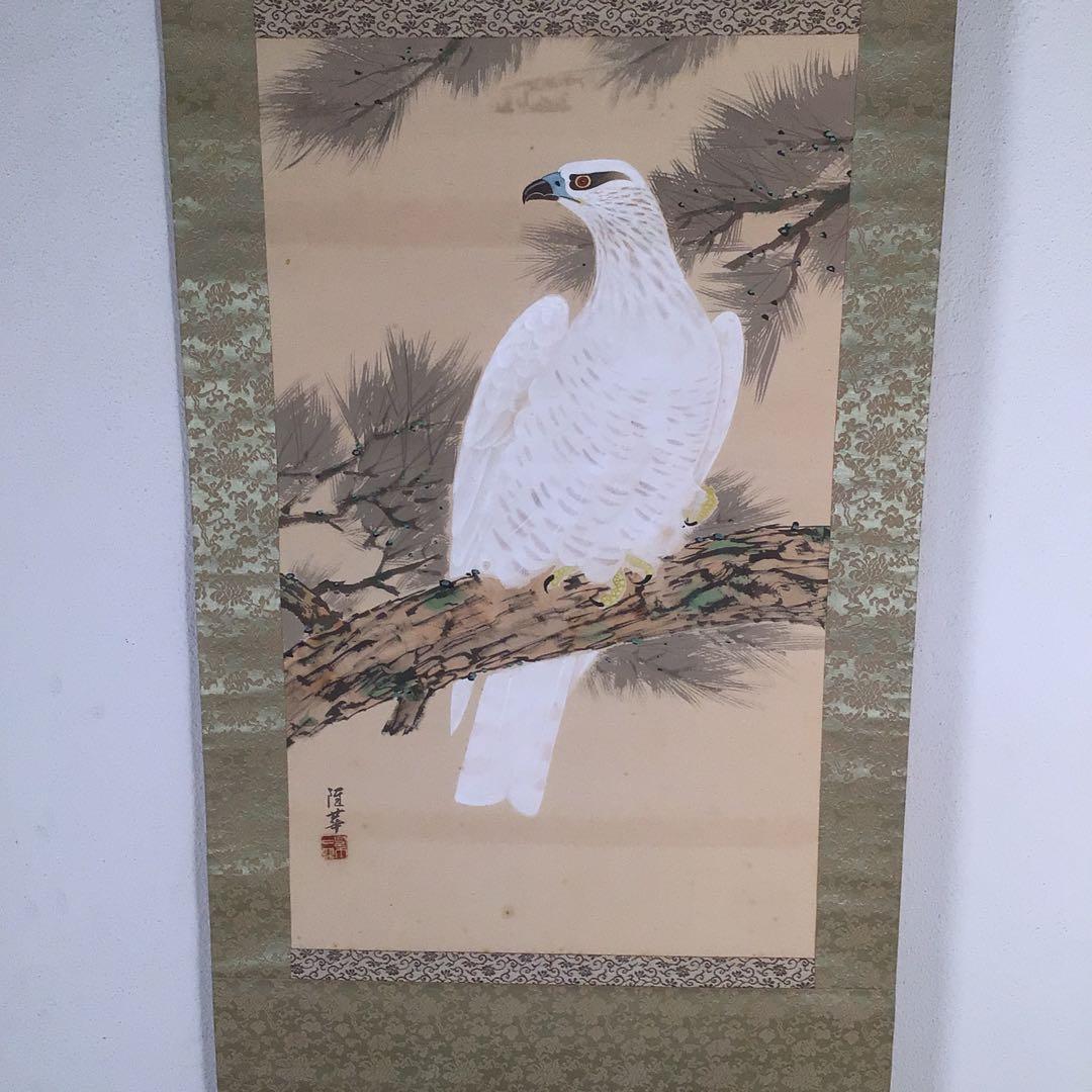 No4041 掛軸　寺田隆華　白鷹図　着色絹本　紙箱付　花鳥画　古美術　送料無料