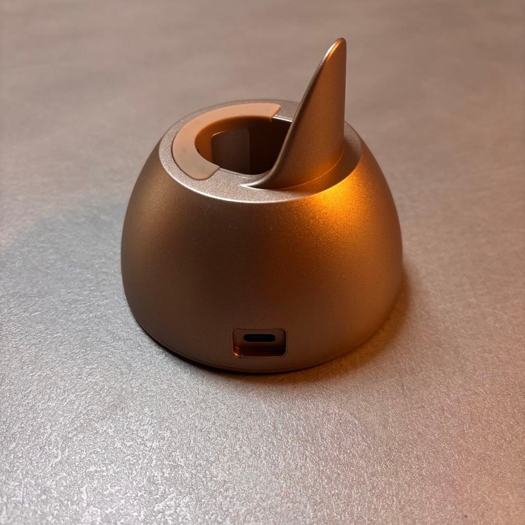 即日発送 Kiboer 超音波トリートメントアイロン トリートメントアイロン