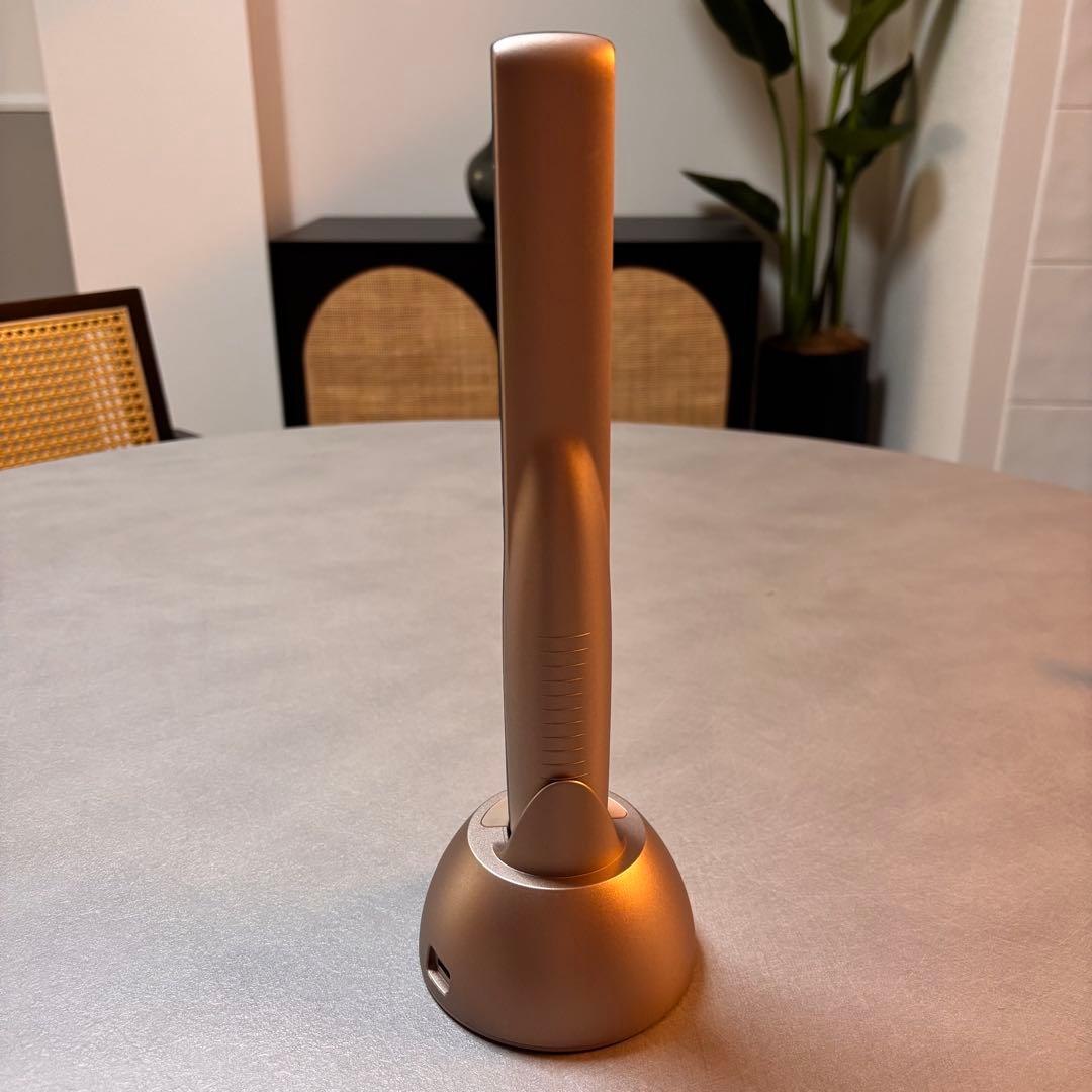 即日発送 Kiboer 超音波トリートメントアイロン トリートメントアイロン