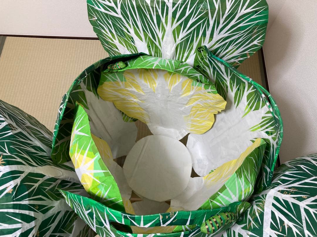 ダンボール製白菜オブジェ
