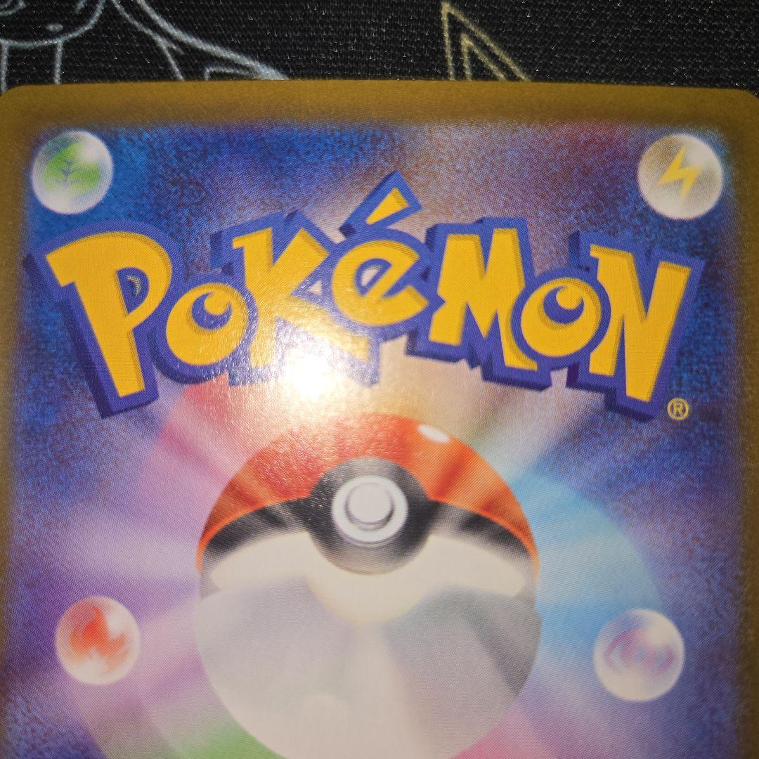 メイのはげまし　SAR 115/080 自引き品