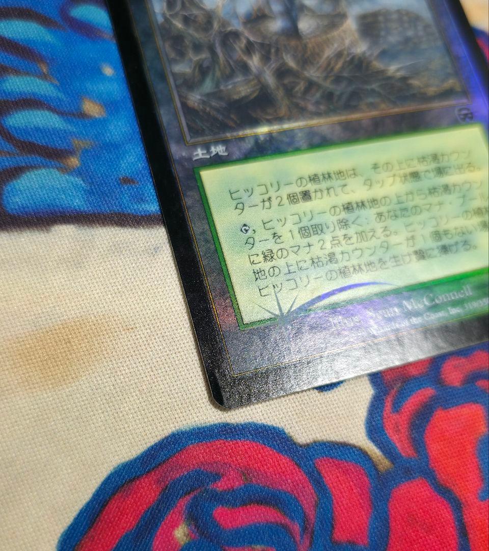MTG MMQ 枯渇ランド 日本語版 foil 5枚セット