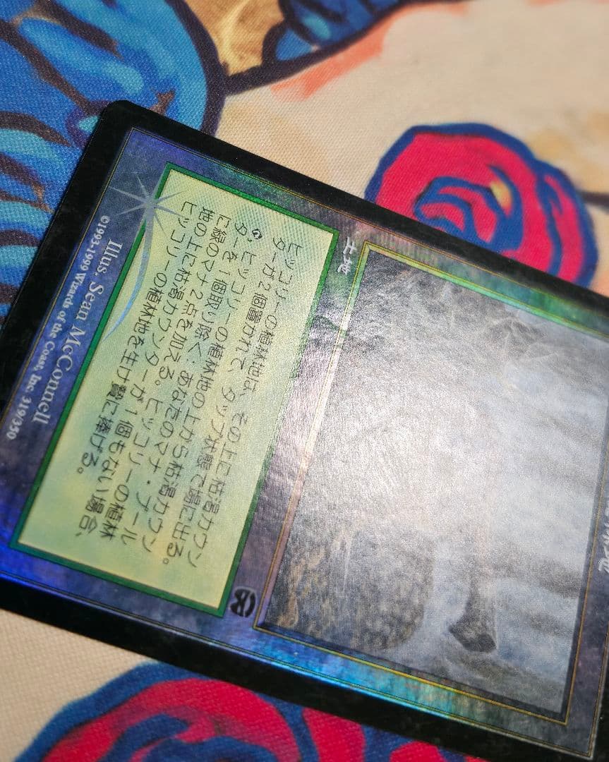 MTG MMQ 枯渇ランド 日本語版 foil 5枚セット