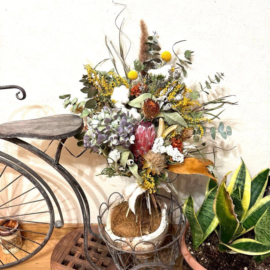 プロテア＆ミモザ＆紫陽花のスワッグブーケパンパスも。特大‼️