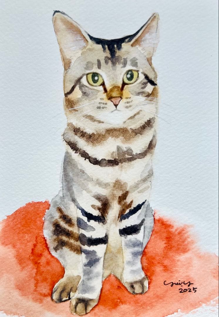 カプリ345ページ