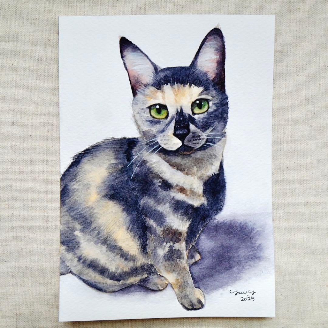 カプリ345ページ