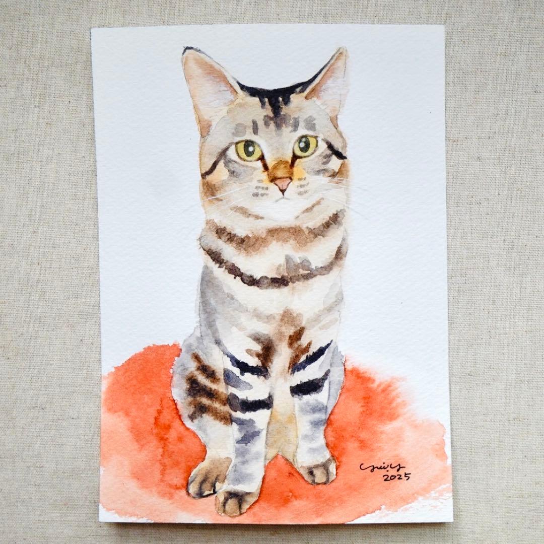 カプリ345ページ