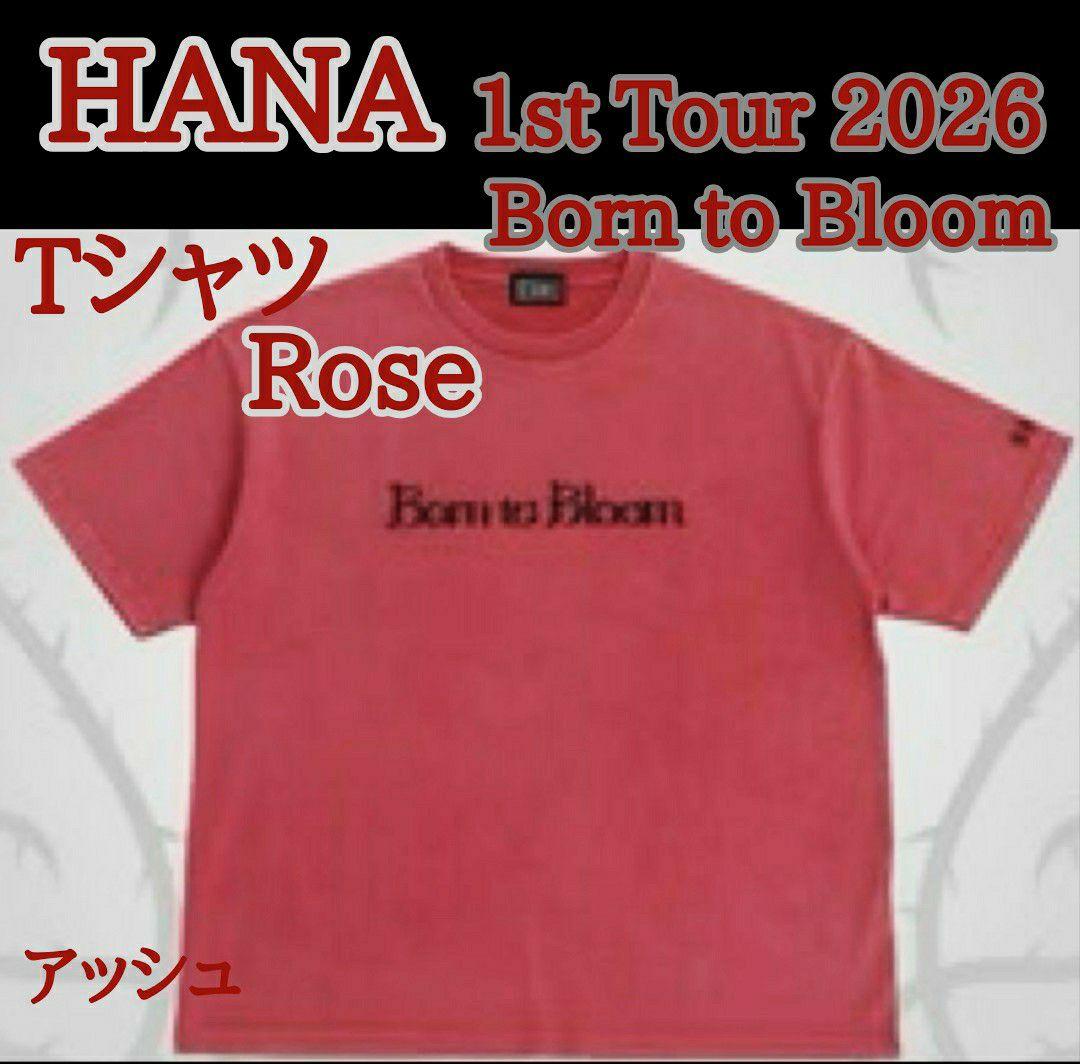 HANA 1st Tour 2026 Tシャツ ROSE Mサイズ