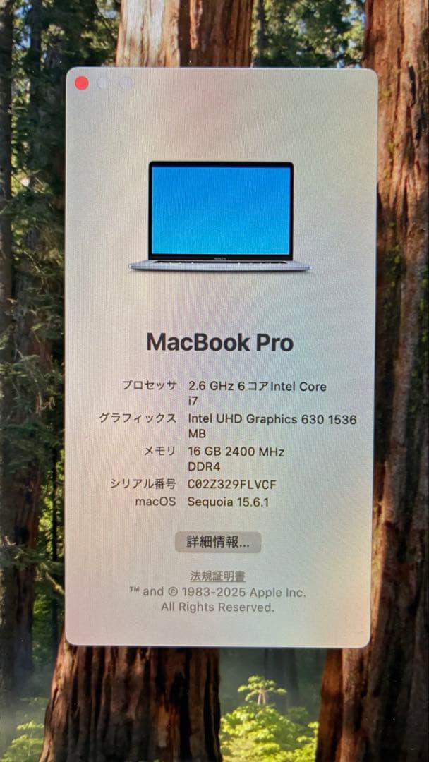 MacBook Pro 2019 シルバー 本体 付属品完備