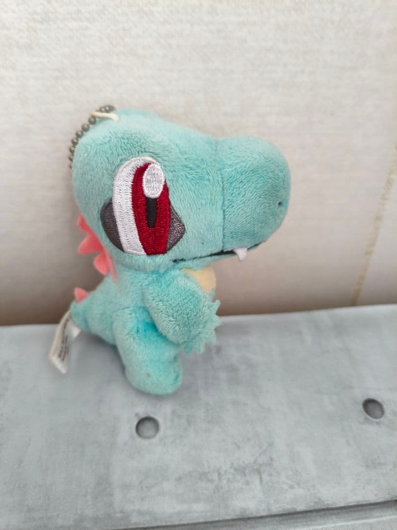 6/1/9　ポケモン ポケモンセンター　ワニノコ ぬいぐるみ マスコット