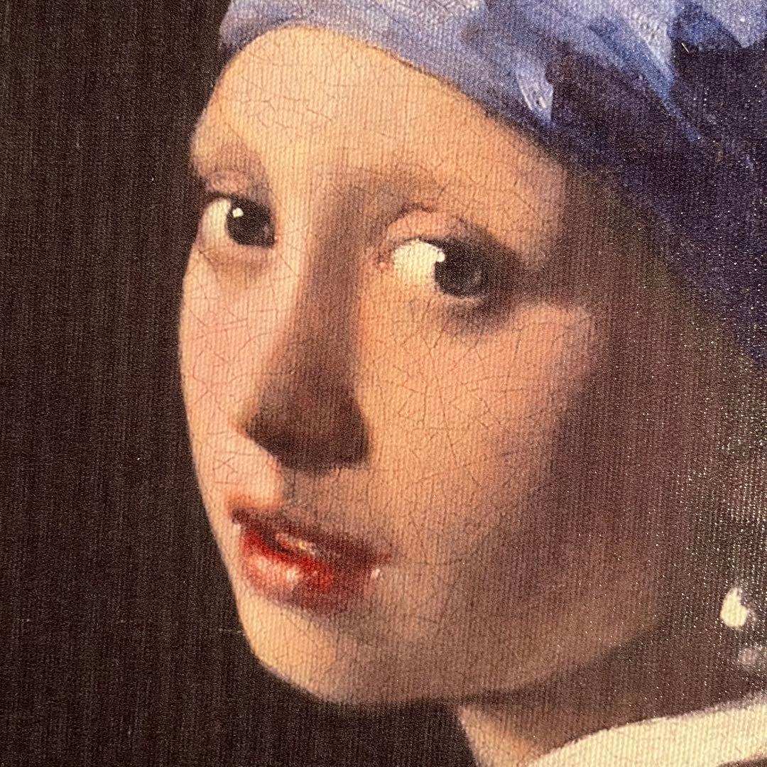 プリントアート フェルメール 真珠の耳飾りの少女 絵画 額付き インテリア