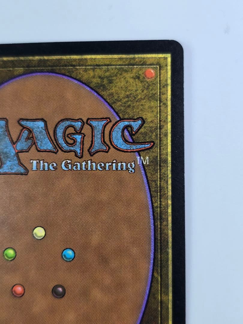 MTG 《大地の知識/Earthcraft》[TMP] 日本語