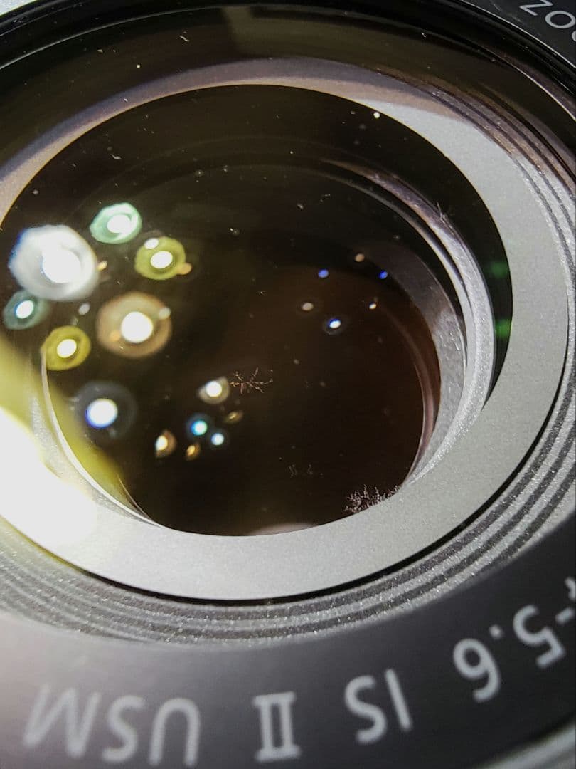 Canon EF70-300mm F4-5.6 IS II USM フード付