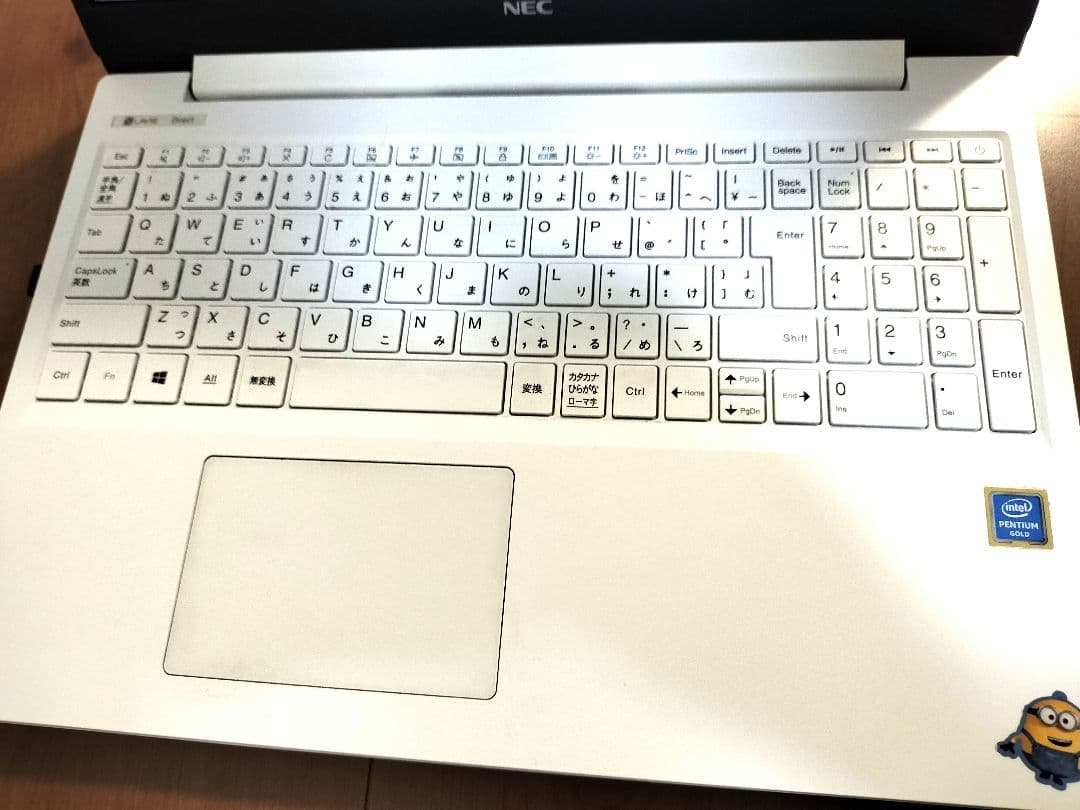 NEC LaVie Direct NS メモリ4GB PC-GN23DJTAF