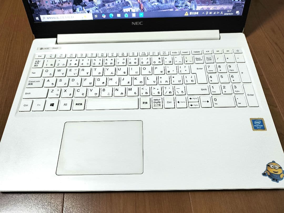 NEC LaVie Direct NS メモリ4GB PC-GN23DJTAF