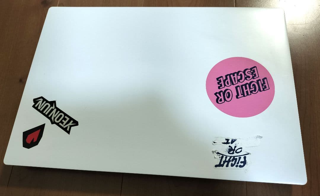 NEC LaVie Direct NS メモリ4GB PC-GN23DJTAF