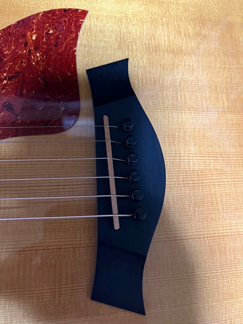 アコースティックギター テイラー314ce ハードケース付き