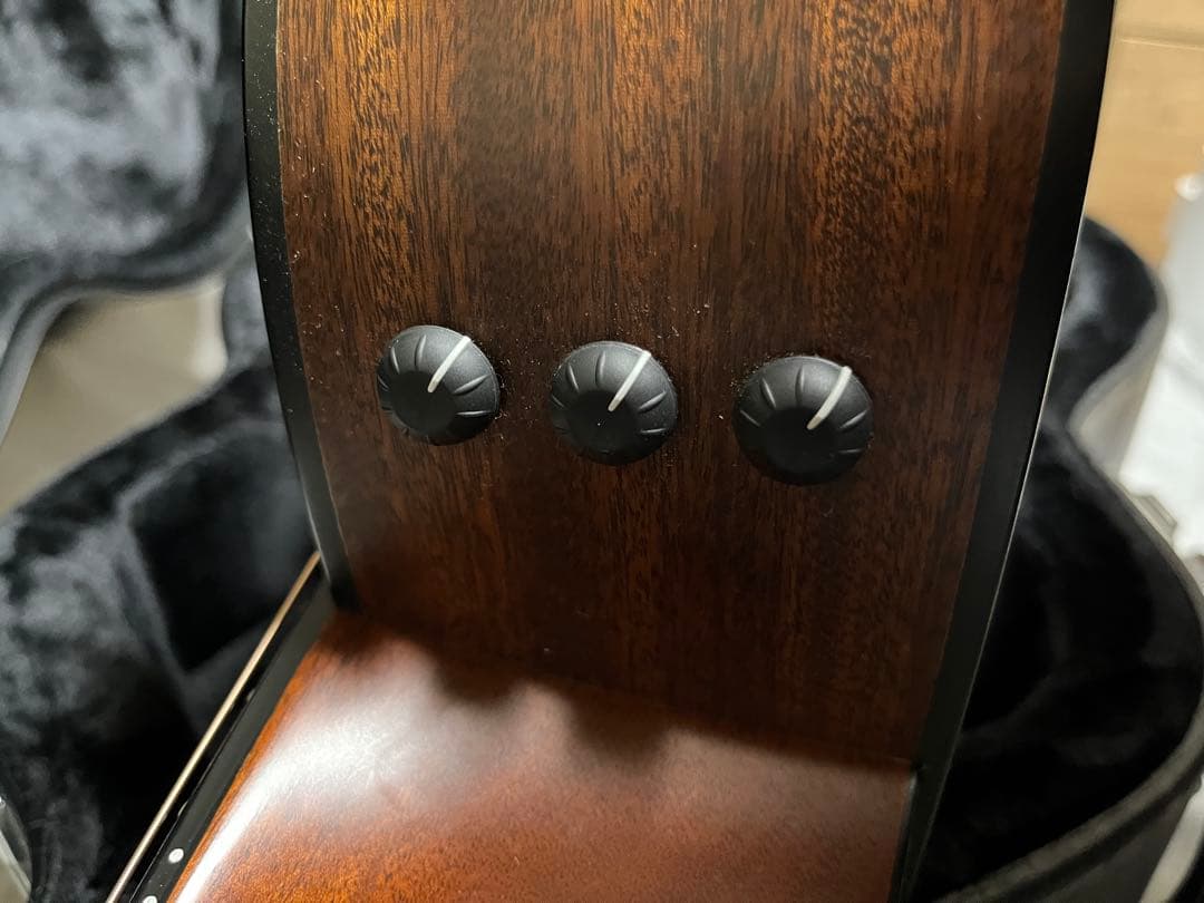 アコースティックギター テイラー314ce ハードケース付き