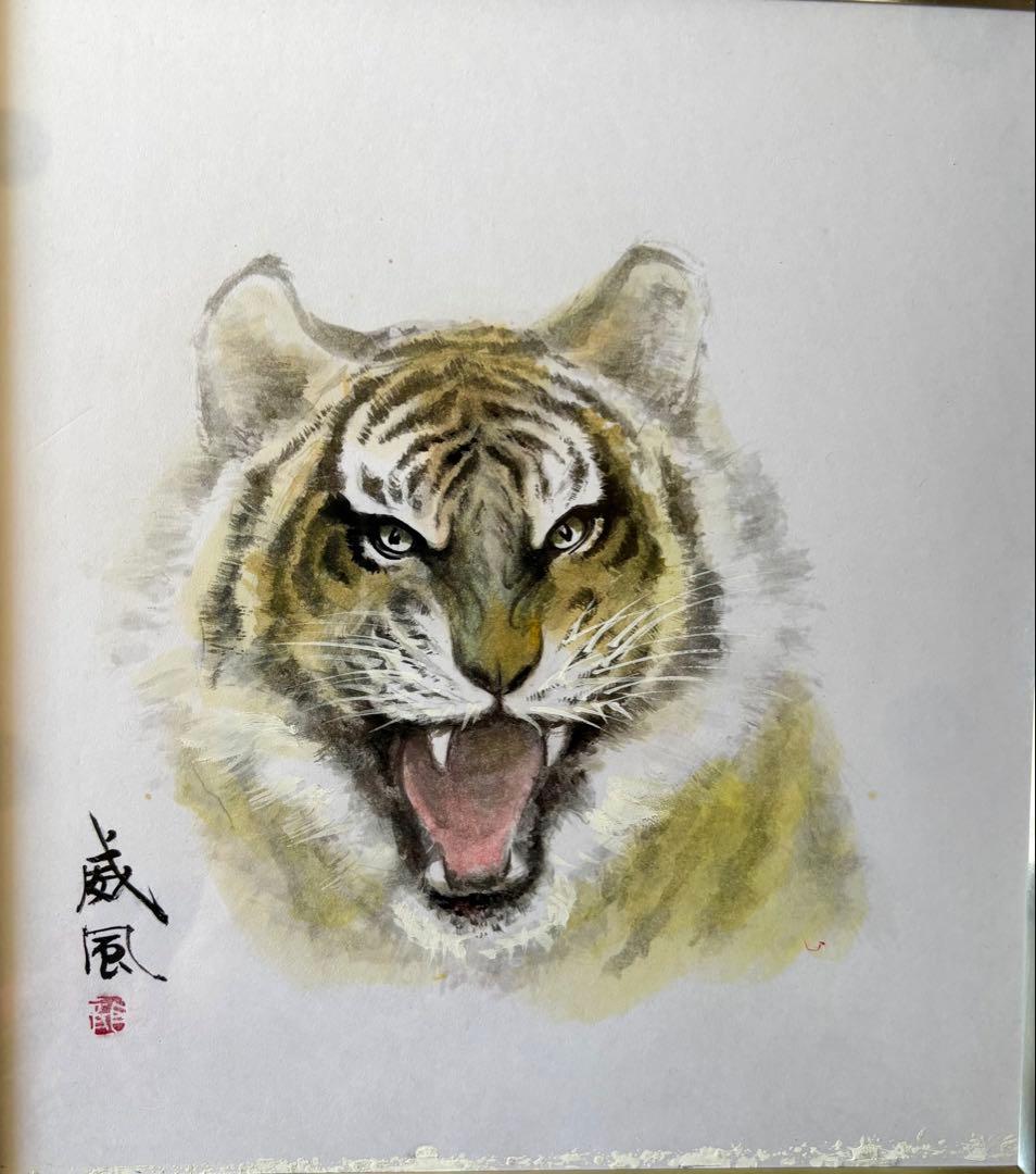 水墨画（肉筆手描き）虎绘色紙6枚