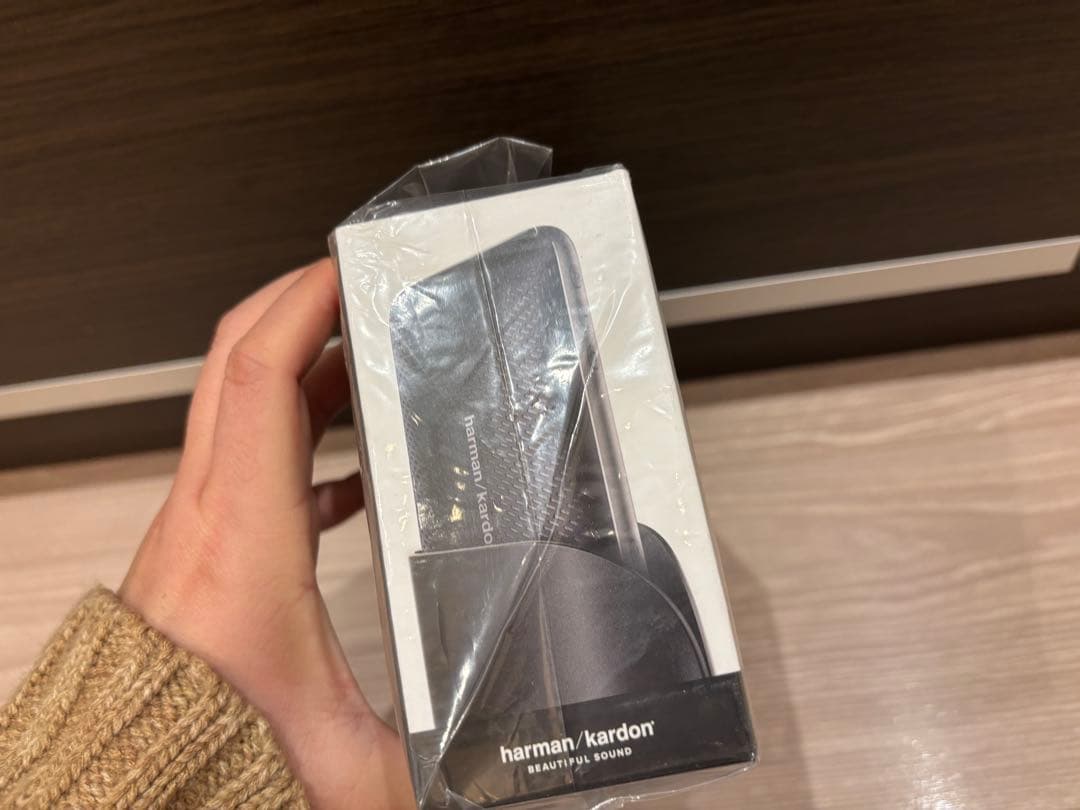 j*m様 harman kardon ESQUIRE MINI 2