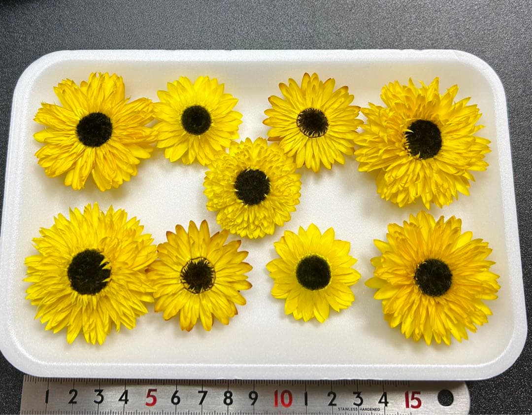 向日葵みたいなヘリクリサム ランダム9輪