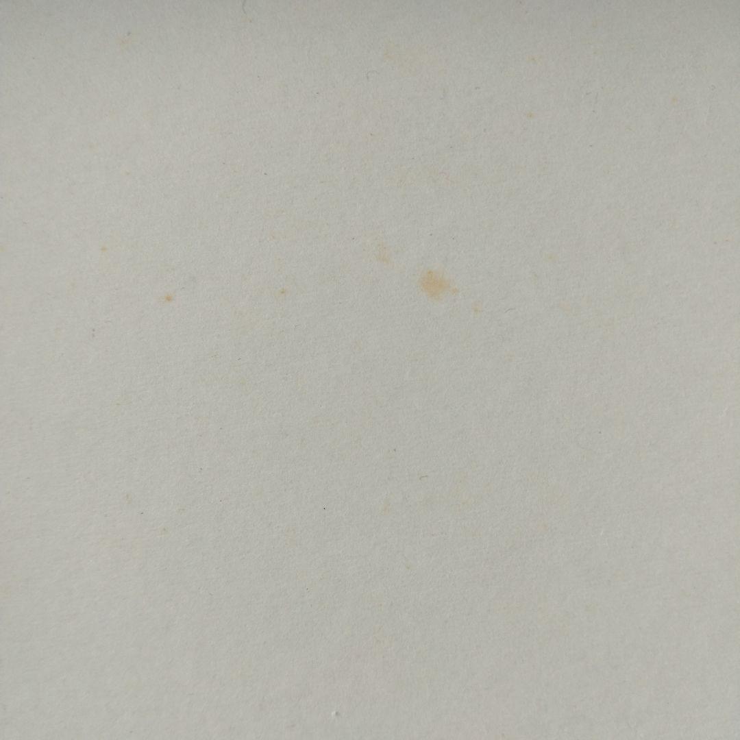 廃盤品赤毛のアン　1000ピースパズル　恋人たちの小路　中古品