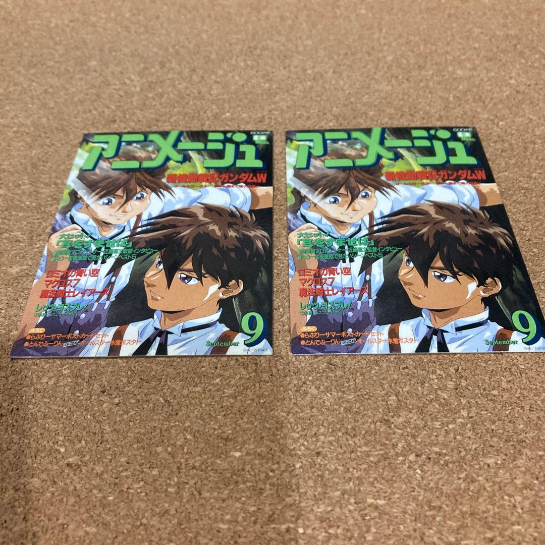 新機動戦記ガンダムＷ　ヒイロ＆デュオ　アニメージュ　トレーディングカード