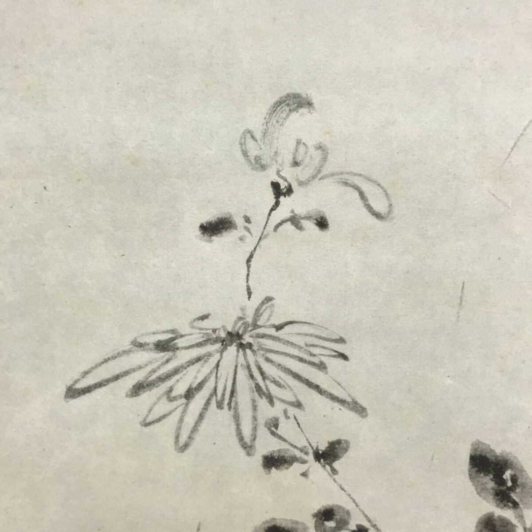 複製/松尾芭蕉/菊画賛/菊の香や自画賛/工芸品/花/秋/掛軸☆宝船☆AK-851