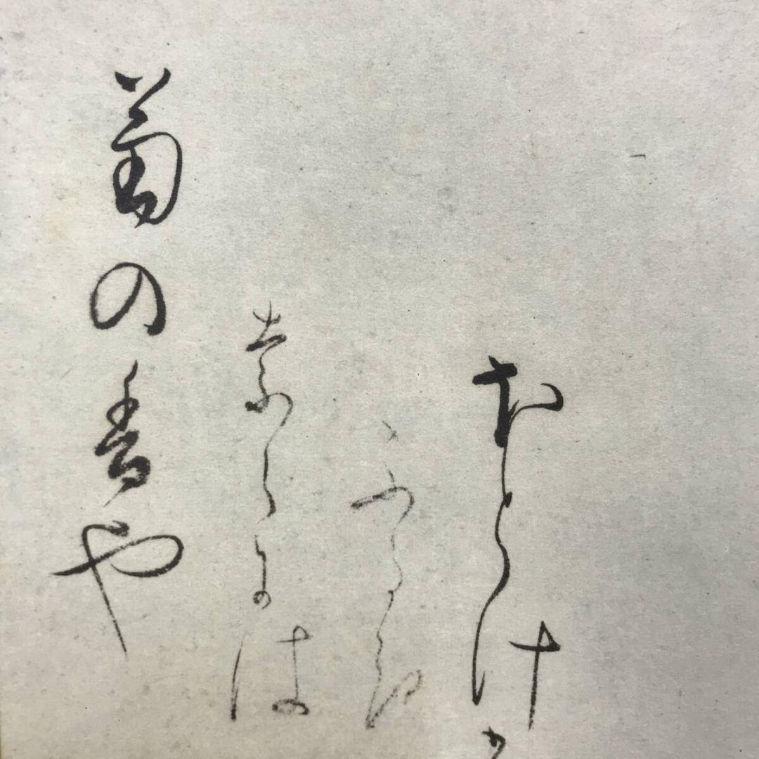 複製/松尾芭蕉/菊画賛/菊の香や自画賛/工芸品/花/秋/掛軸☆宝船☆AK-851