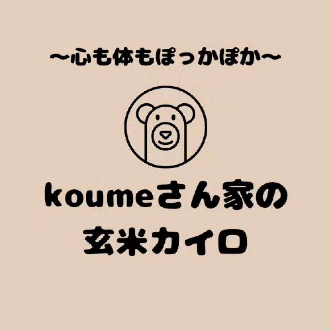 えっしゃん様セット　玄米カイロ Big(特大) ×3