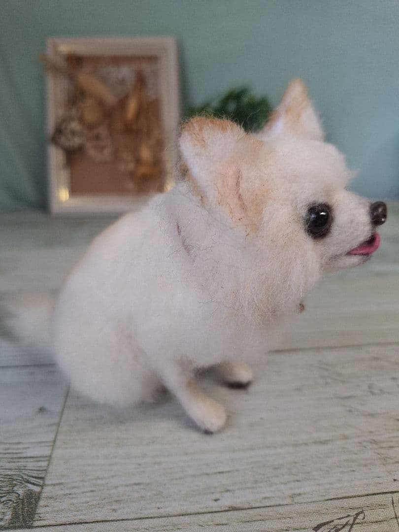 羊毛フェルト　ちわわ