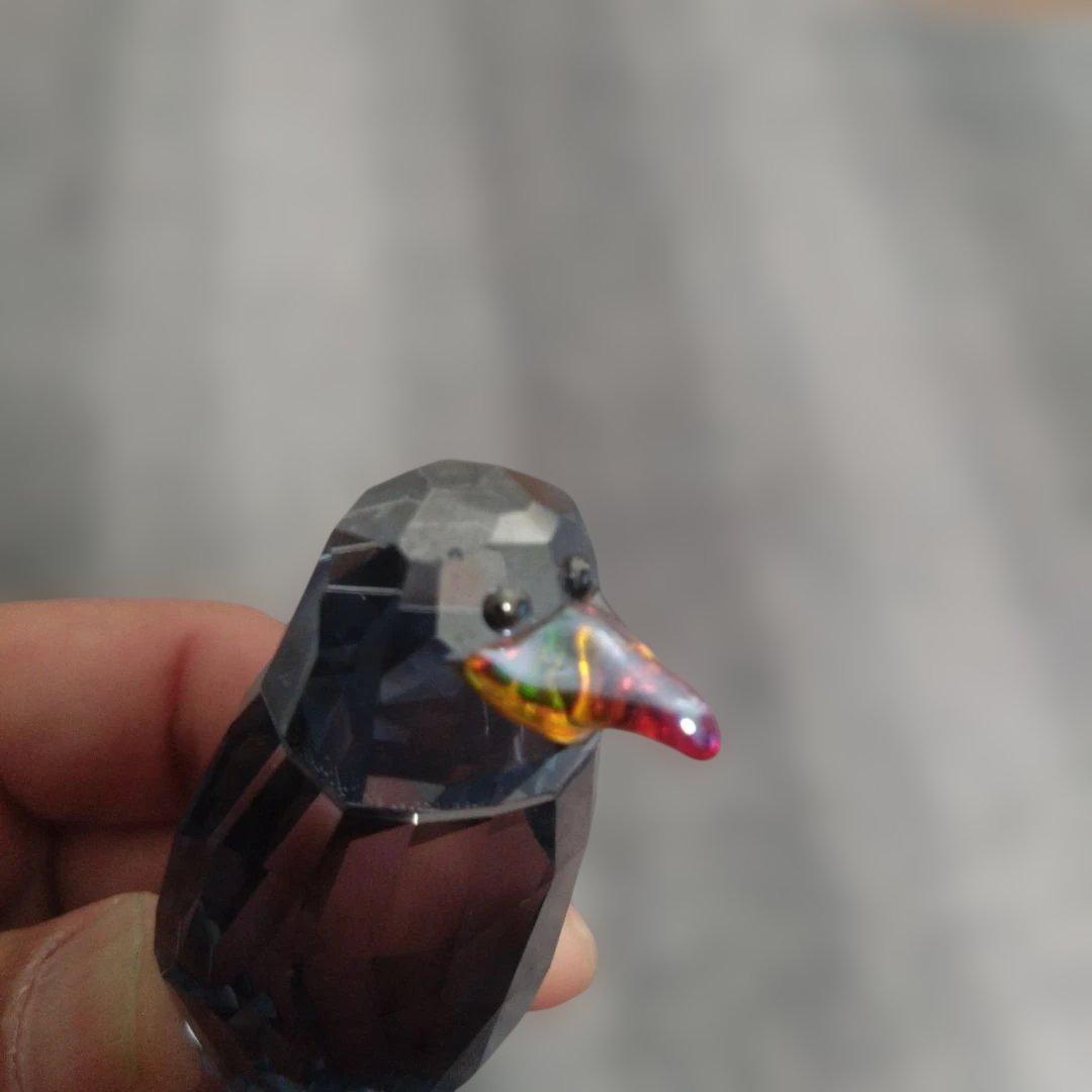 置物 Swarovski Sealife Jack&Johnny