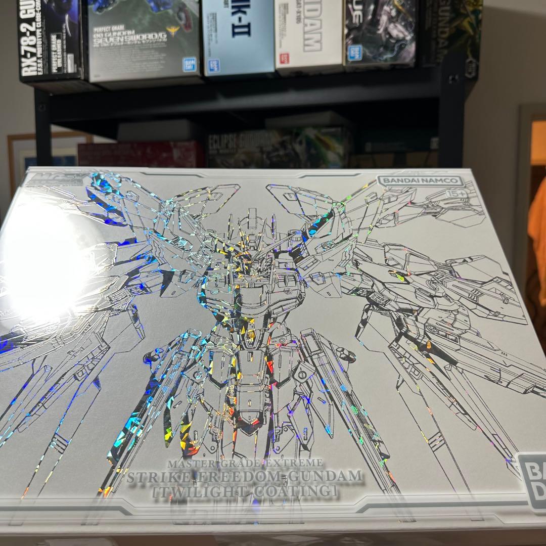 MGEX1/100ストライクフリーダムガンダム[TWILIGHTCOATING]