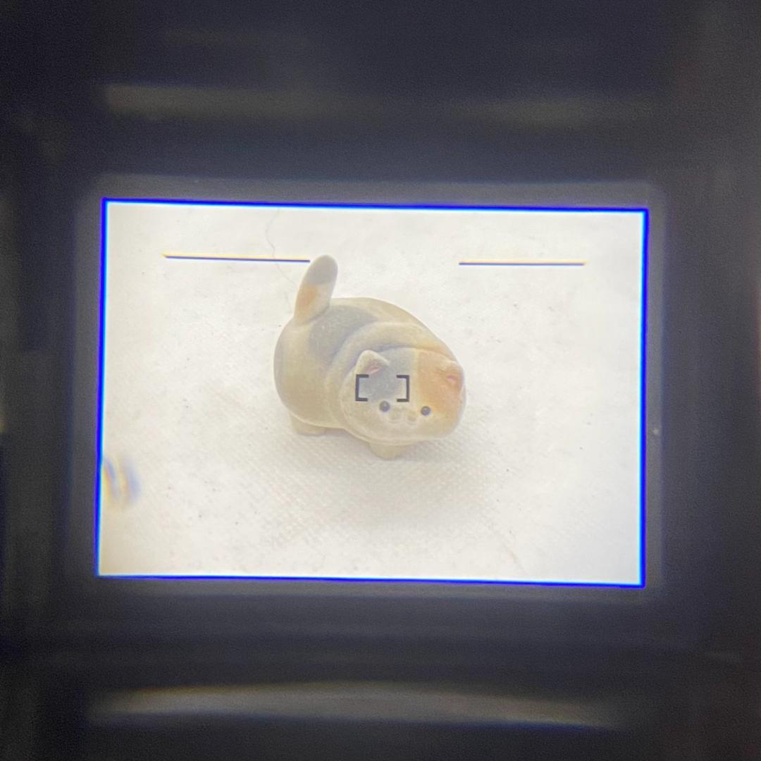 【C6185】Canon キヤノン Autoboy TELE6 フイルムカメラ